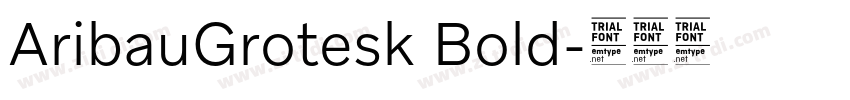 AribauGrotesk Bold字体转换